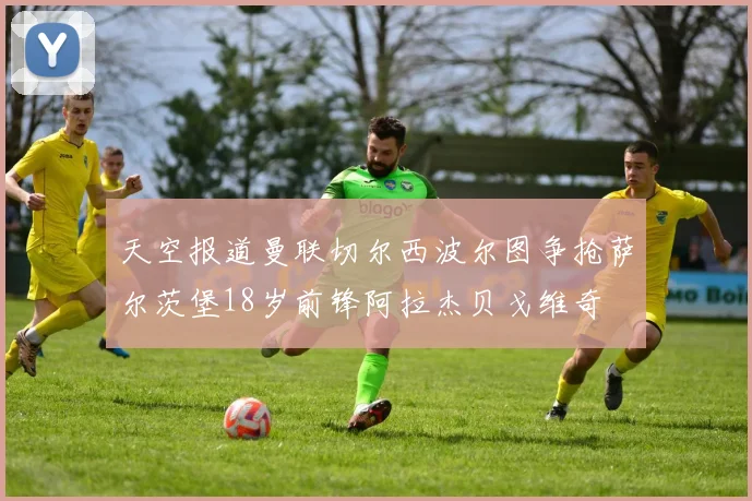 天空报道曼联切尔西波尔图争抢萨尔茨堡18岁前锋阿拉杰贝戈维奇