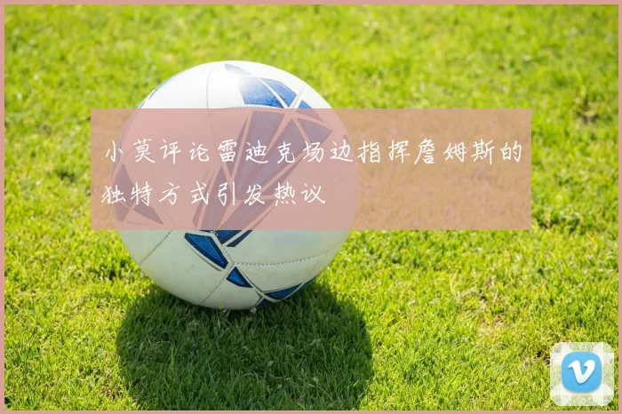 小莫评论雷迪克场边指挥詹姆斯的独特方式引发热议