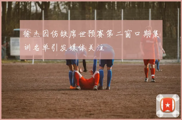 徐杰因伤缺席世预赛第二窗口期集训名单引发媒体关注