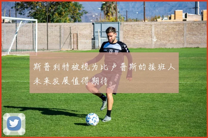 斯普利特被视为比卢普斯的接班人未来发展值得期待