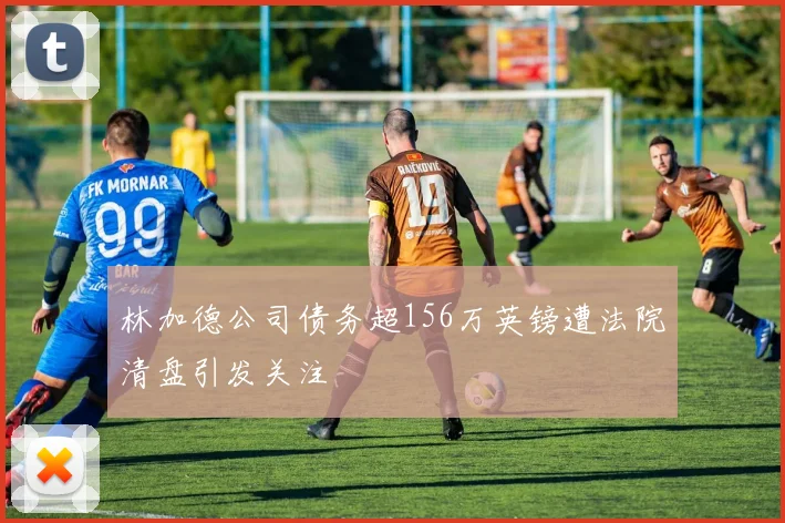 林加德公司债务超156万英镑遭法院清盘引发关注