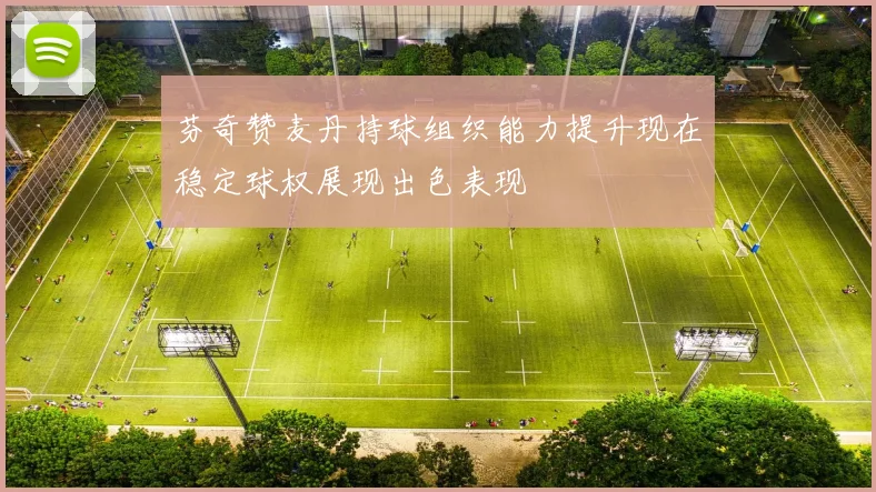 芬奇赞麦丹持球组织能力提升现在稳定球权展现出色表现